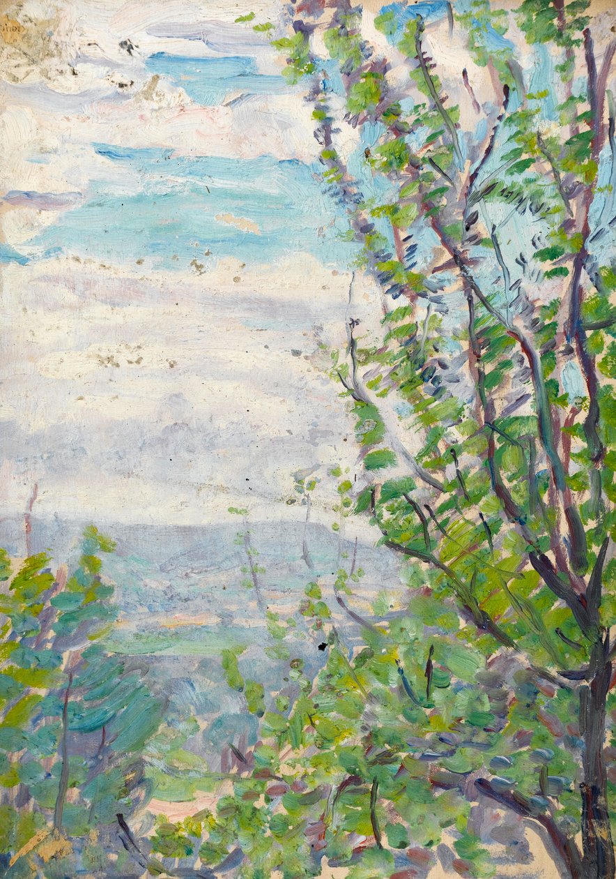 Cielo blu e nuvole con rami di alberi da frutto in primo piano da Arthur Haythorne Studd