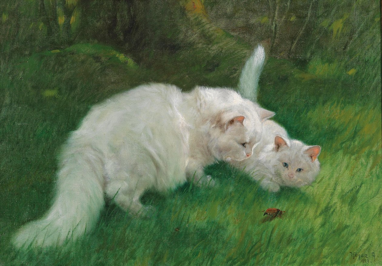 Arthur Heyer Interessante scoperta nel 1923 da Arthur Heyer