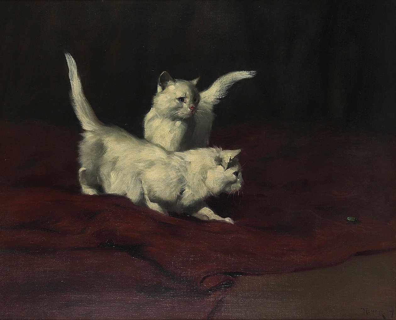 Arthur Heyer Gattino che osserva uno scarabeo da Arthur Heyer