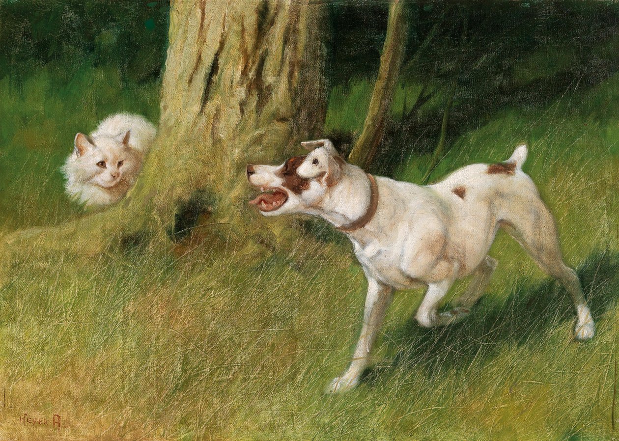 Cane e gatto da Arthur Heyer