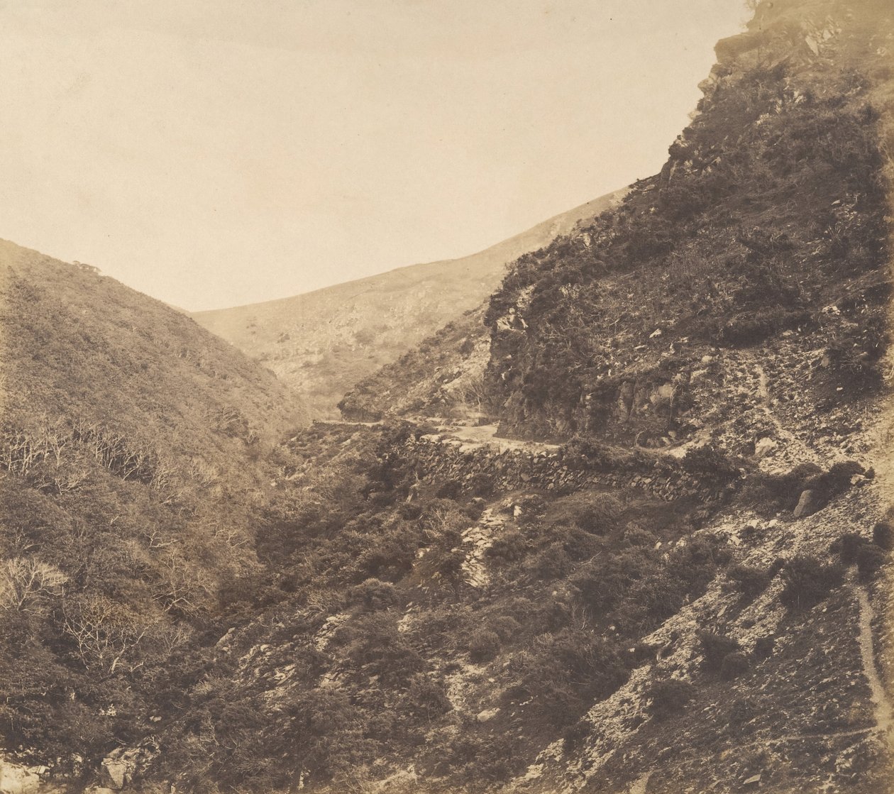 Sulla strada per Watersmeet, vicino a Lynton, North Devon, 1856 da Arthur Julius Pollock