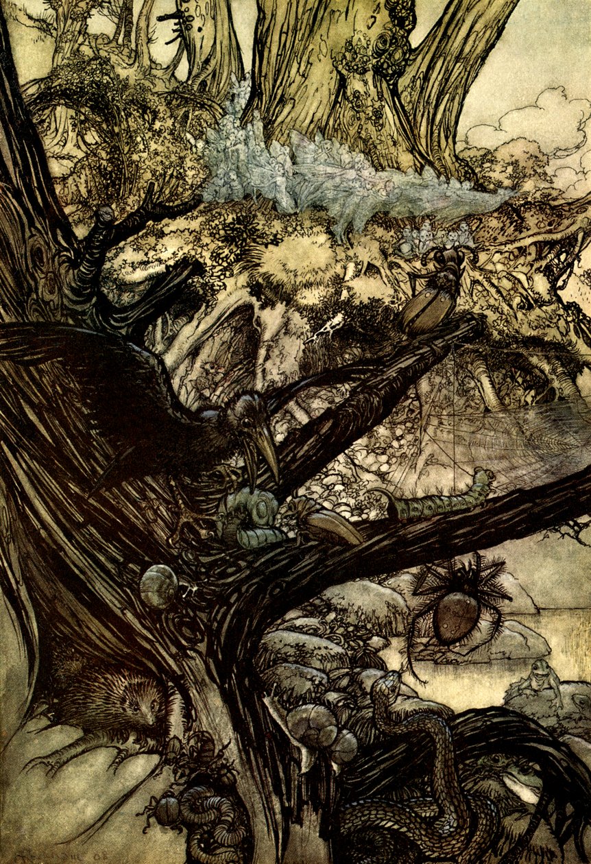 Sogno di una notte di mezza estate da Arthur Rackham