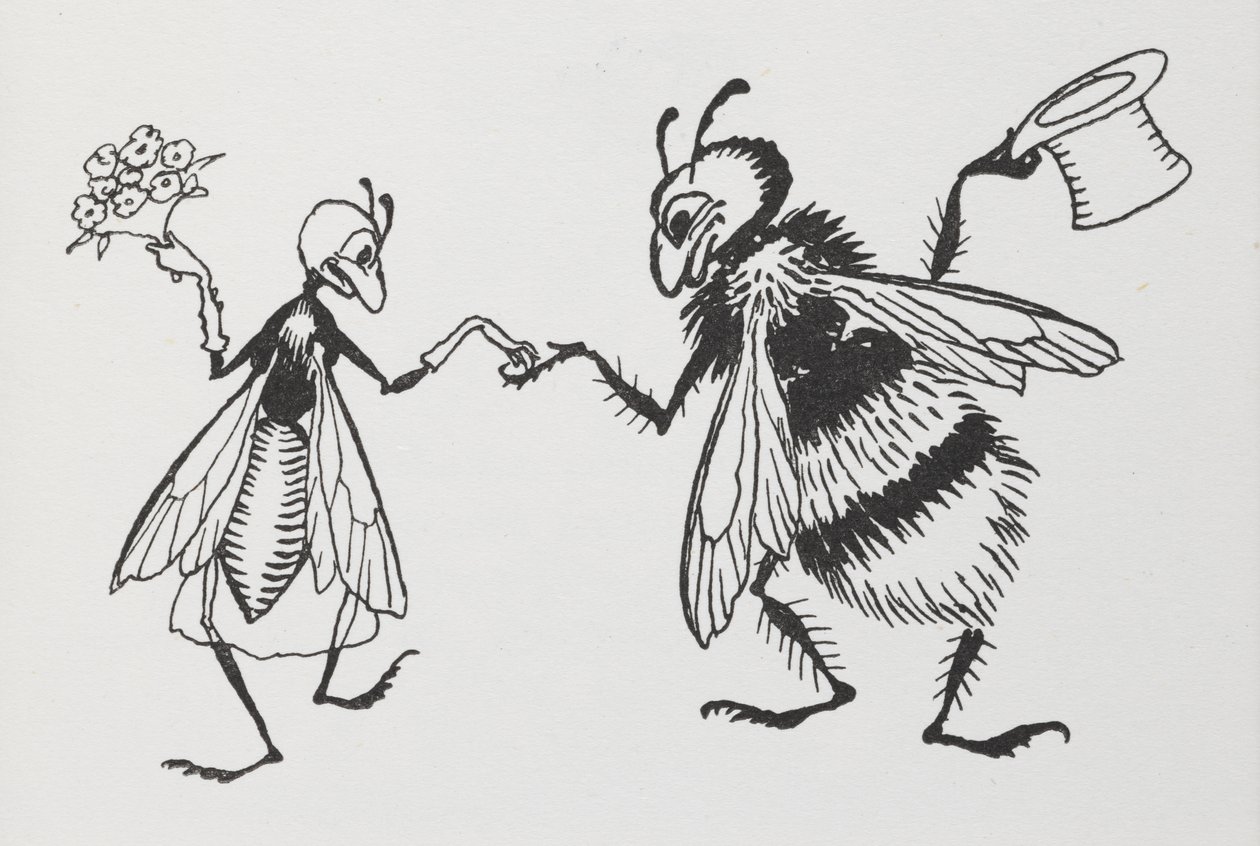 Una mosca e un