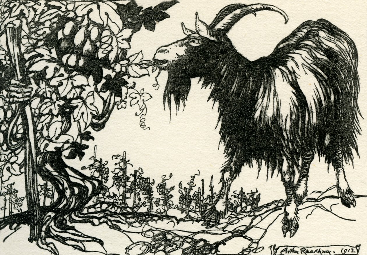 Favole di Esopo da Arthur Rackham
