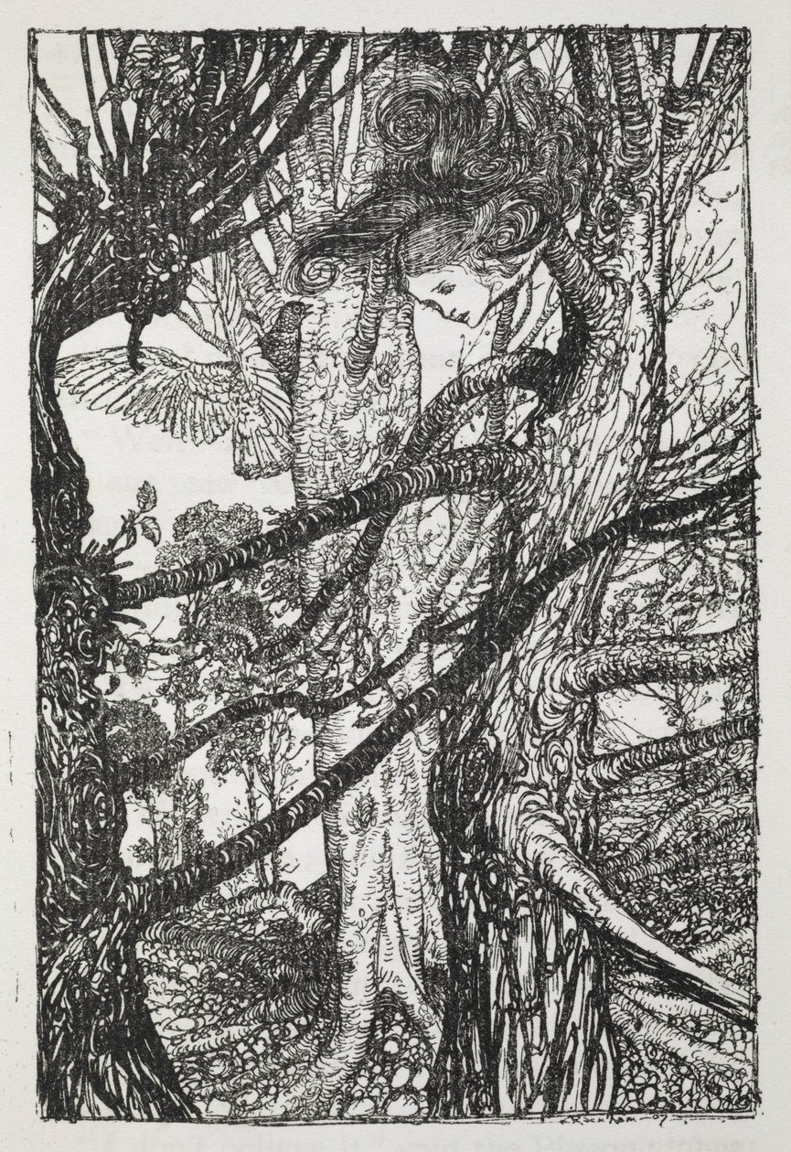 Alice come un serpente che parla a un piccione da Arthur Rackham