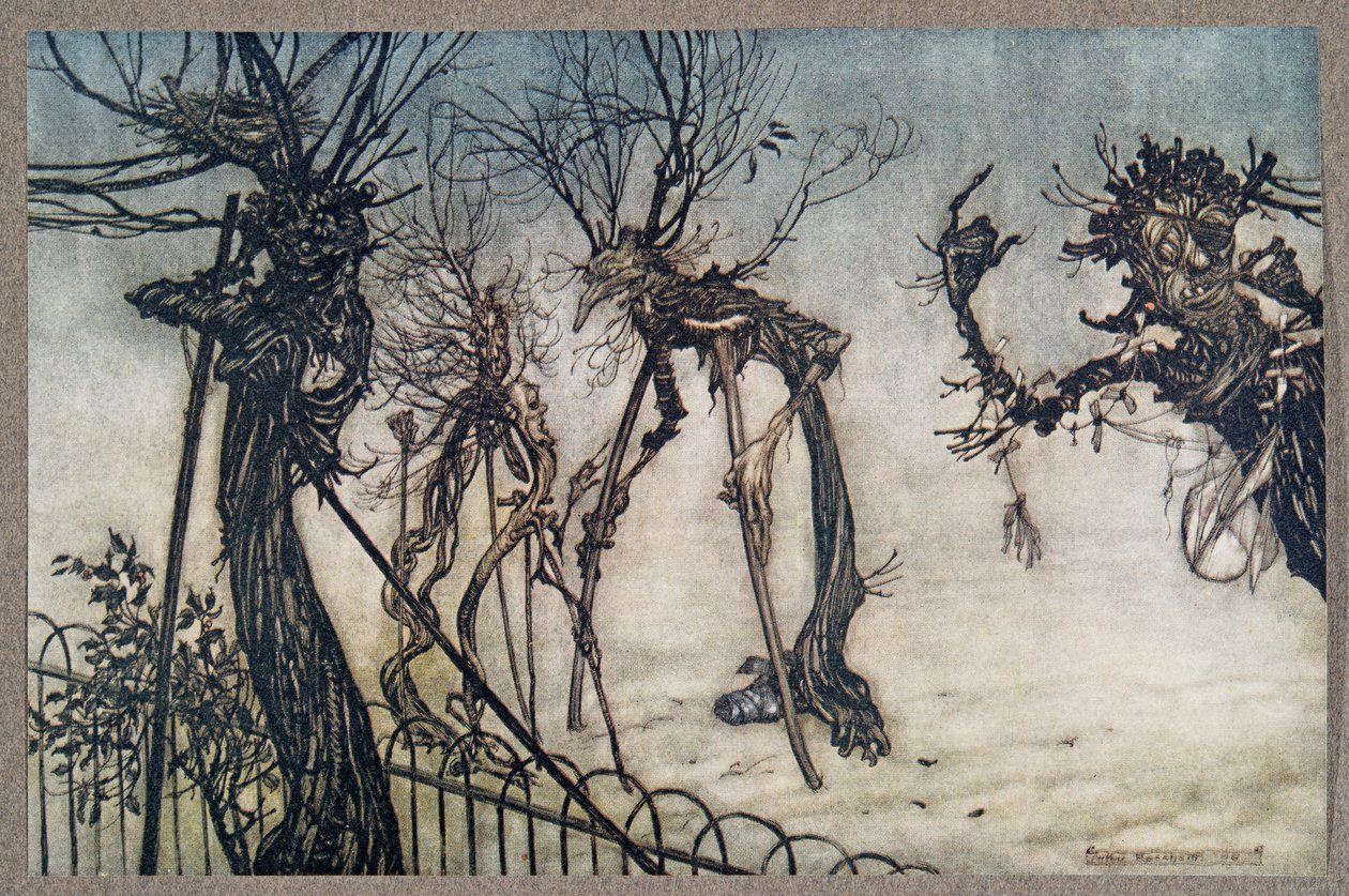 Un sambuco zoppicò attraverso il sentiero e si fermò a chiacchierare con alcuni bambini .., da Peter Pan nei Giardini di Kensington di J M Barrie (1860 - 1937), pub. 1906 da Arthur Rackham