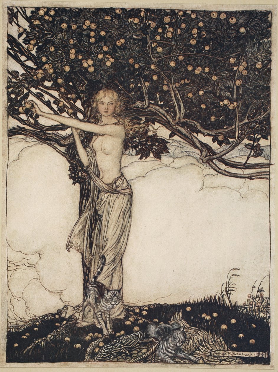 Freia, la bella, illustrazione da 