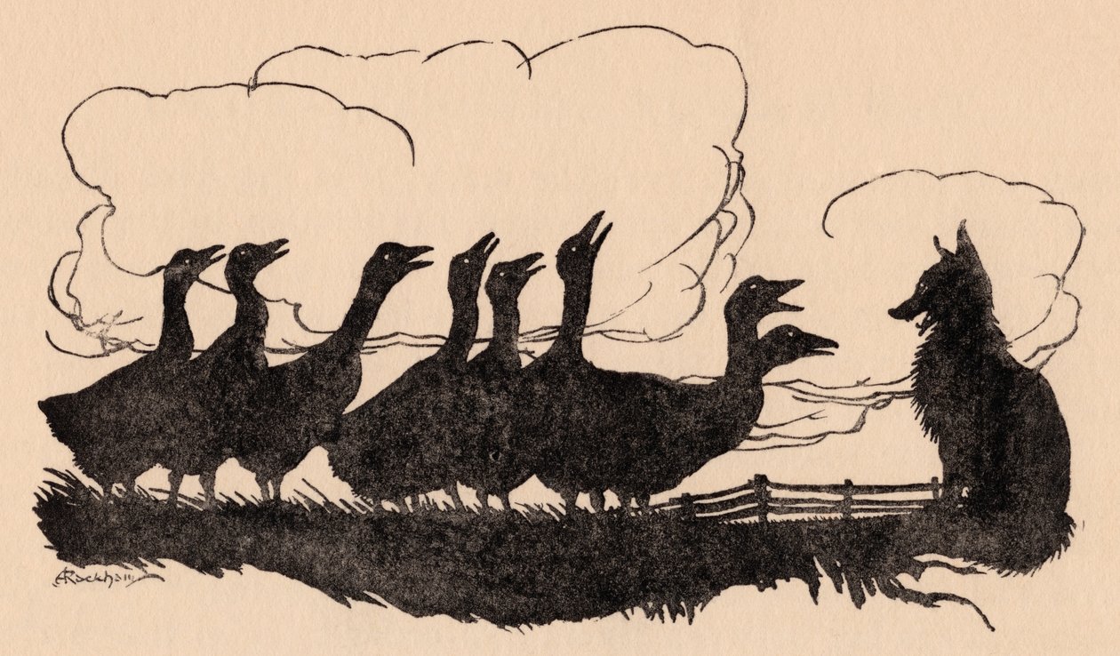 Illustrazione di Arthur Rackham dalla fiaba dei Grimm, La volpe e le oche da Arthur Rackham