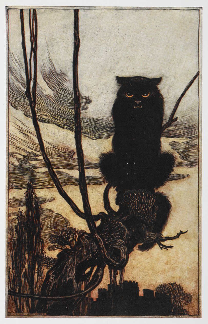 Illustrazione di un gatto nero da Jorinda e Joringel da Arthur Rackham