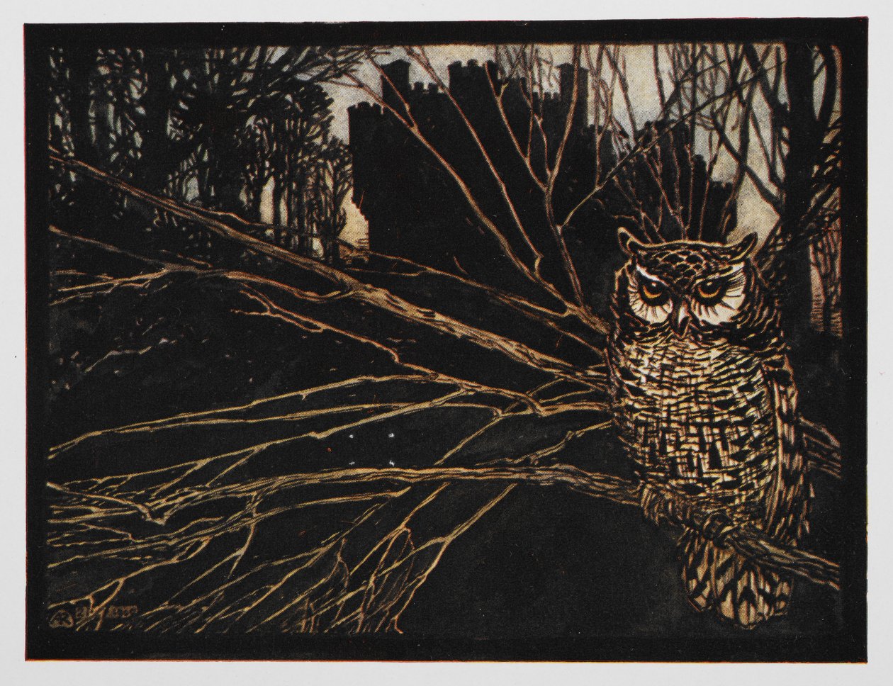 Illustrazione di un gufo da Jorinda e Joringel da Arthur Rackham