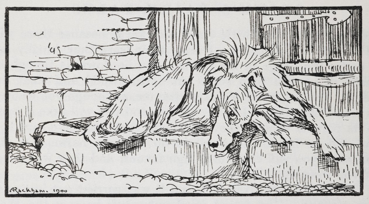Illustrazione di un cane da Il vecchio sultano da Arthur Rackham