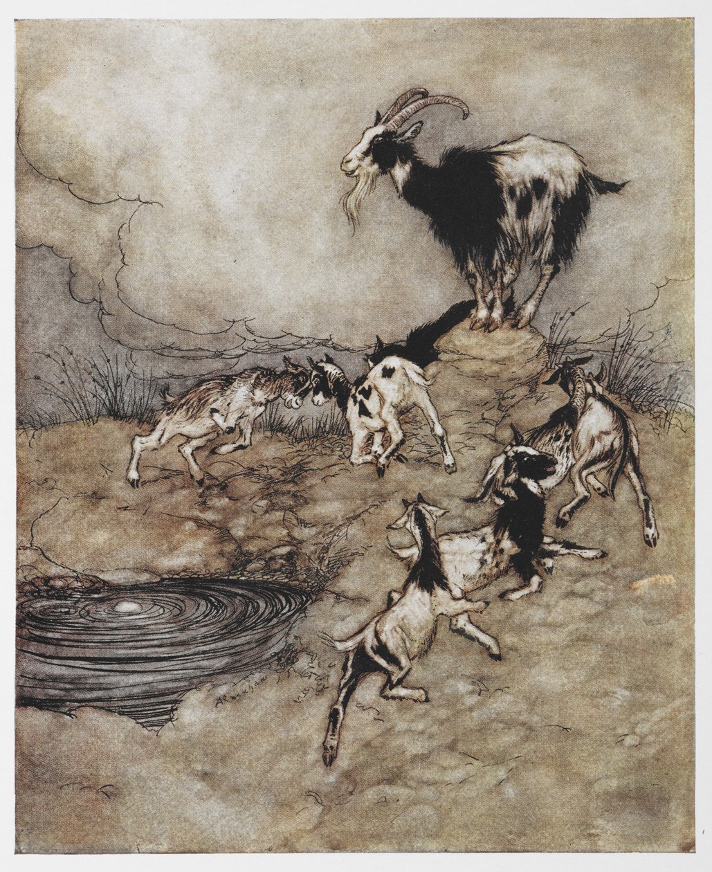 Illustrazione di una capra e i suoi capretti che giocano da Il Lupo e i Sette Capretti da Arthur Rackham