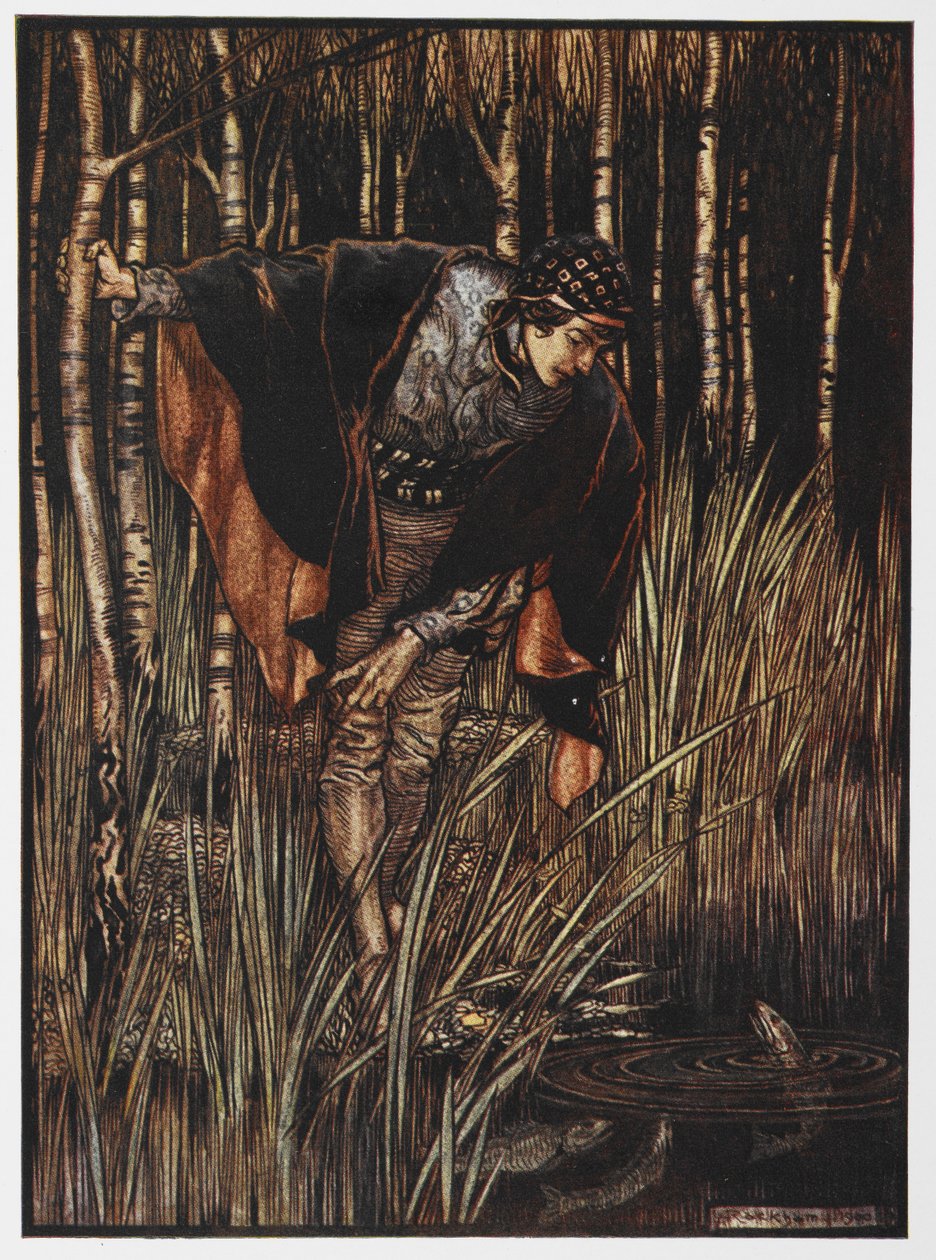 Illustrazione di un giovane vicino a uno stagno da Il Serpente Bianco da Arthur Rackham