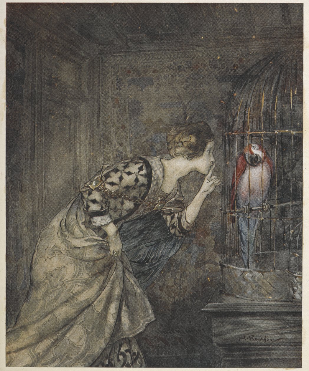 May Colvin e un pappagallo in una gabbia da Arthur Rackham