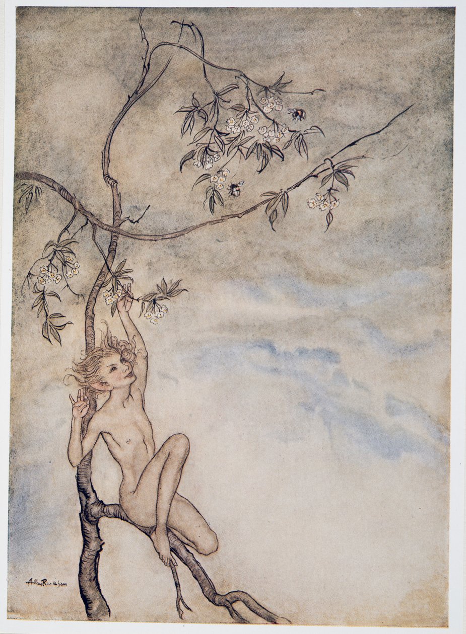 Allegro, allegro vivrò ora sotto il fiore che pende dal ramo, illustrazione da La Tempesta di William Shakespeare, pub. 1926 da Arthur Rackham