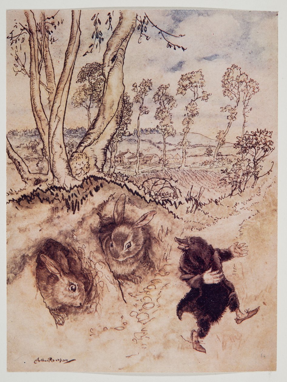 Salsa di cipolle! Salsa di cipolle! osservò beffardamente, e se ne andò prima che potessero pensare a una risposta, da Il vento nei salici di Kenneth Grahame, pub. 1940 da Arthur Rackham