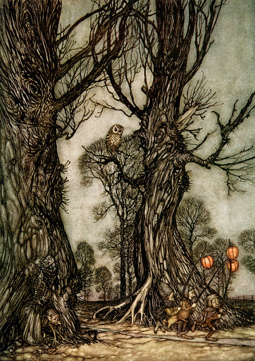 Peter Pan nei giardini di Kensington da Arthur Rackham