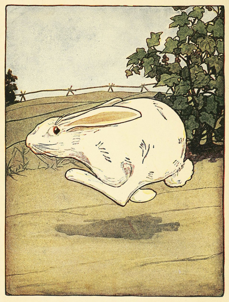 Peter non smise mai di correre, da La storia di Peter Coniglio, pub. 1916 da Arthur Rackham