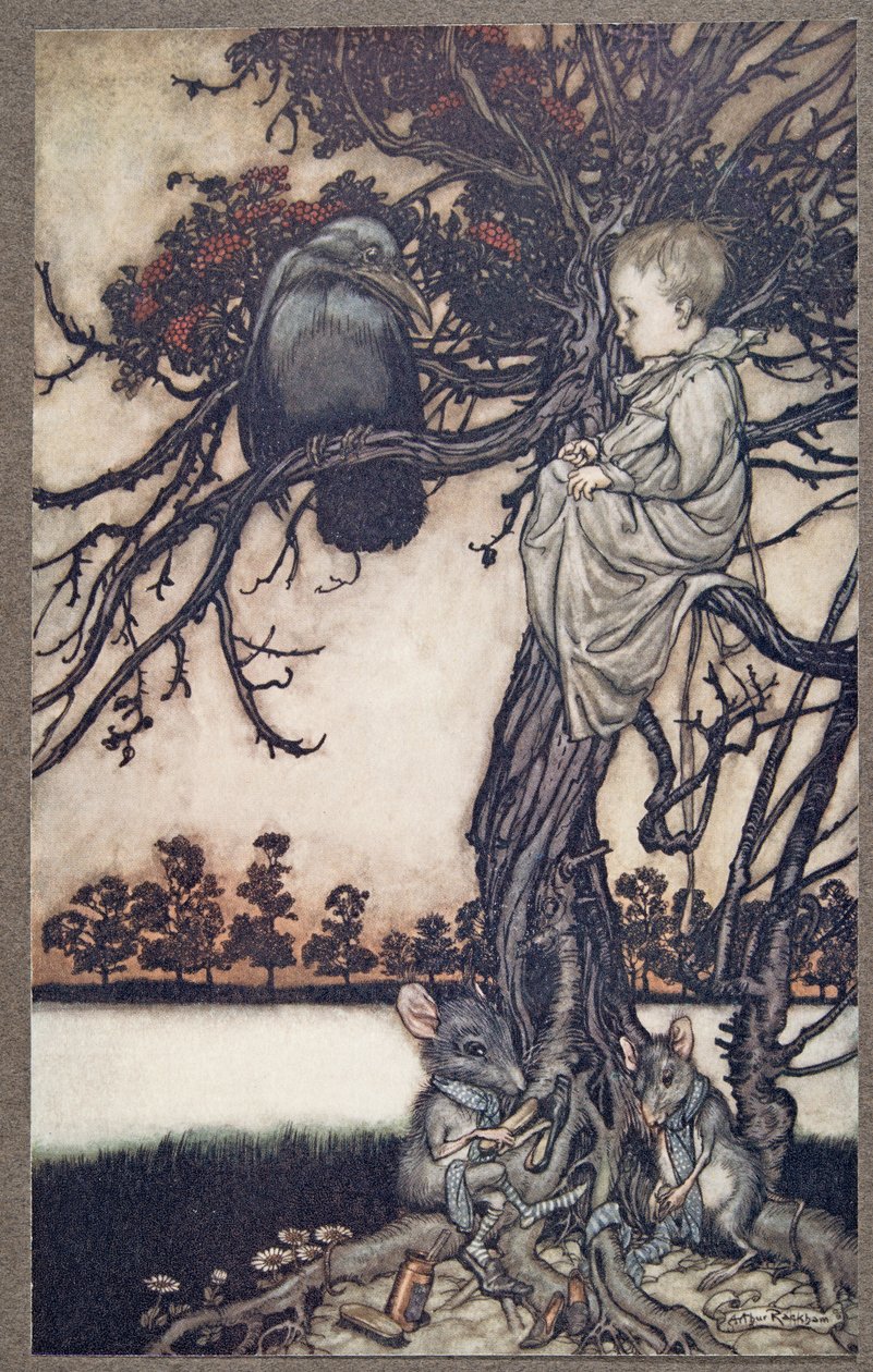Presentò il suo strano caso al vecchio Solomon Caw, da Peter Pan nei Giardini di Kensington di J M Barrie (1860 - 1937), pub. 1906 da Arthur Rackham
