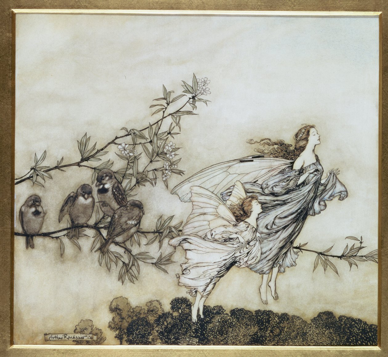 Le fate litigano con gli uccelli, illustrazione del 1906 per Peter Pan nei giardini di Kensington di J.M. Barrie, pub. 1906 da Arthur Rackham