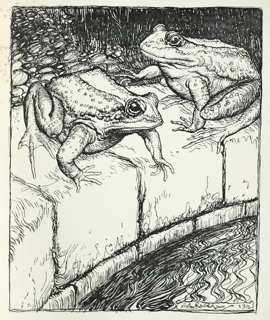 Le rane e il pozzo, illustrazione da 