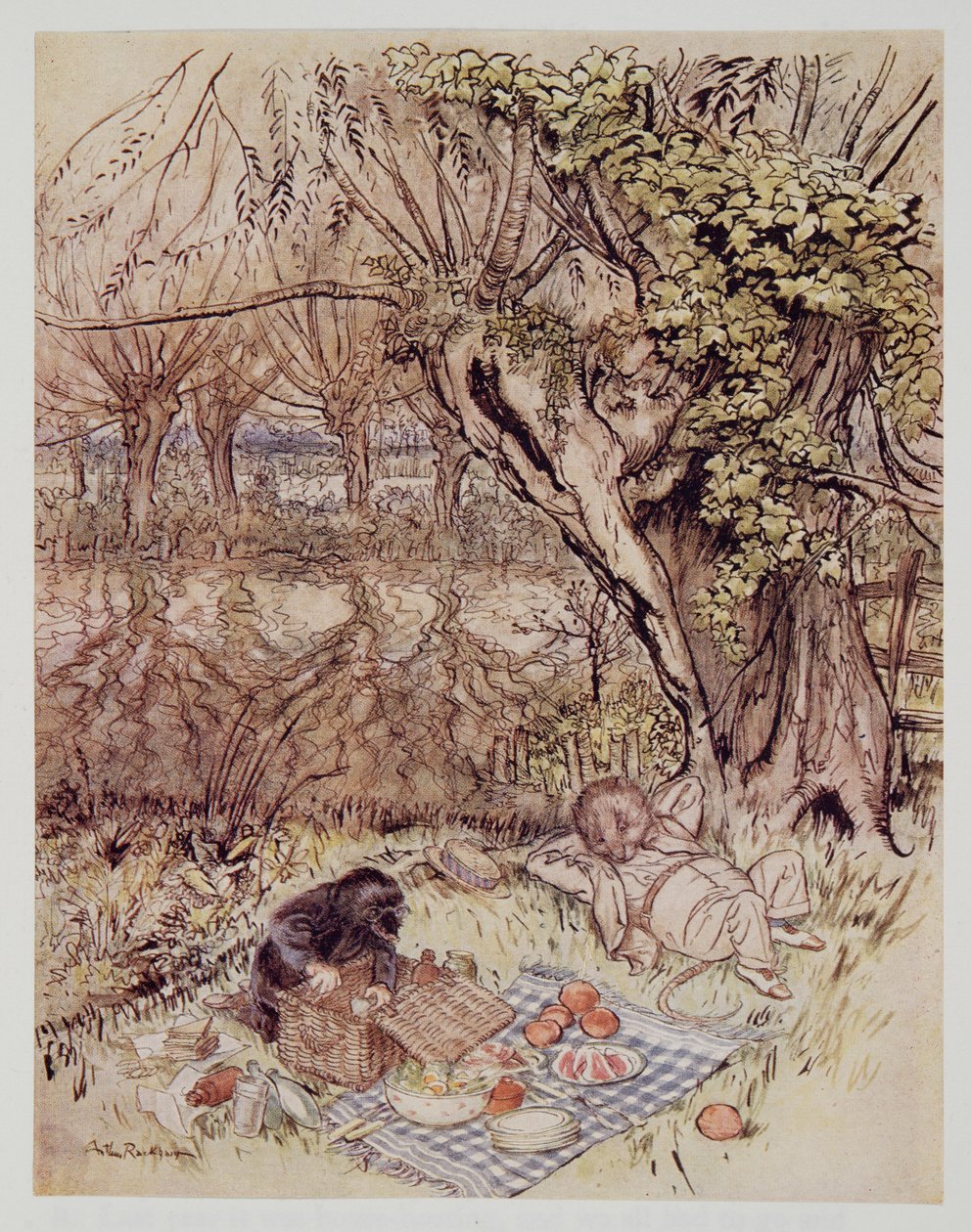La Talpa chiese come favore di poter disfare tutto da sola, da Il vento nei salici di Kenneth Grahame, pub. 1940 da Arthur Rackham