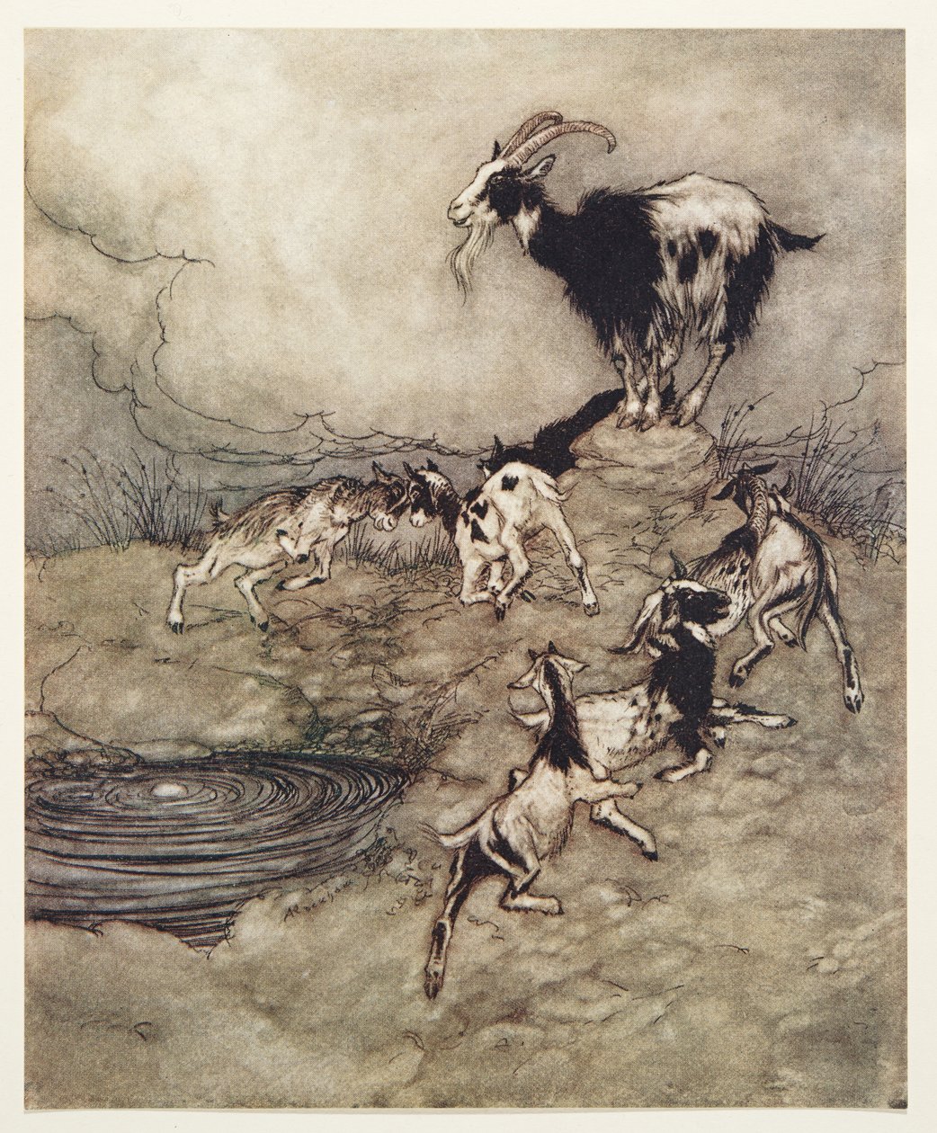 I sette capretti e la loro madre saltellavano e ballavano intorno alla sorgente per la gioia, da Le fiabe dei fratelli Grimm, pub. 1909 da Arthur Rackham