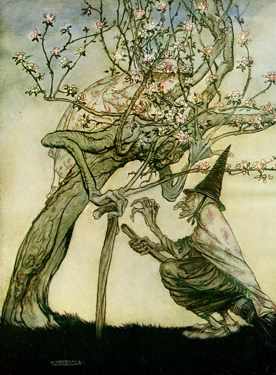 Le due sorelle da Arthur Rackham