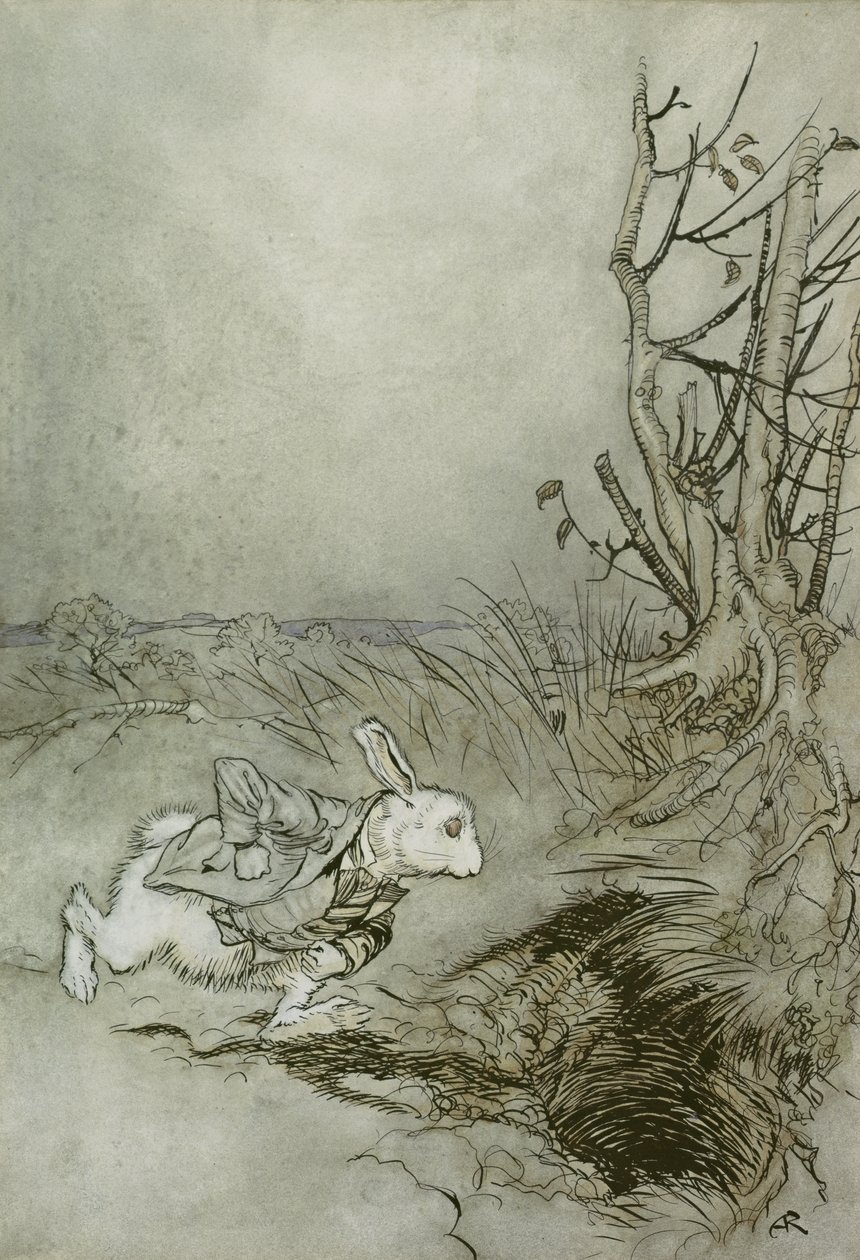 Il Coniglio Bianco, illustrazione da 