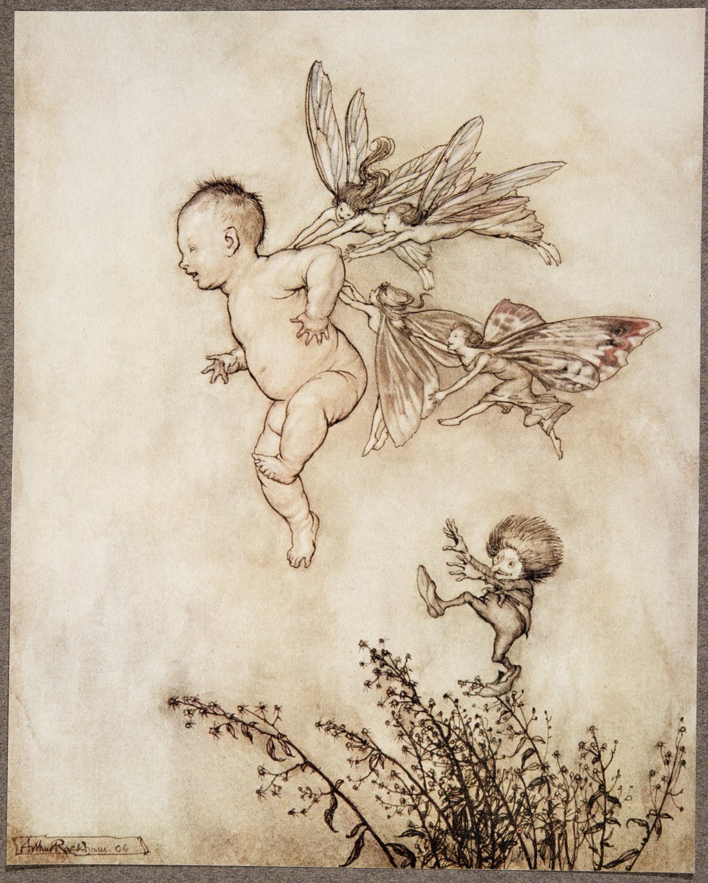 Lo solleticarono tutti sulla spalla .., da Peter Pan nei Giardini di Kensington di J M Barrie (1860 - 1937), pub. 1906 da Arthur Rackham