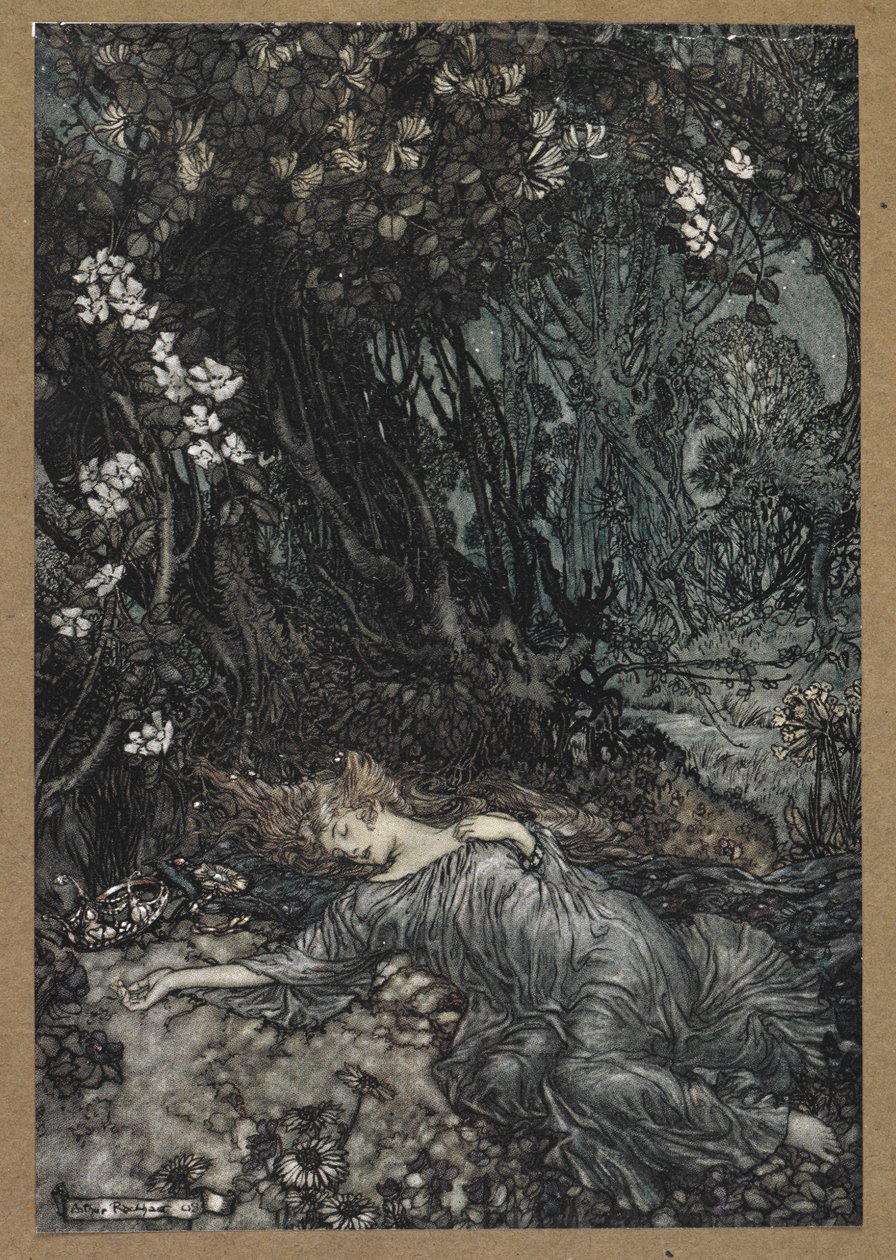 Titania addormentata. Una scena da 
