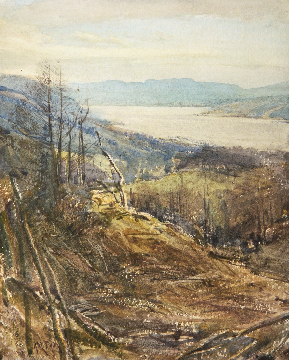 Coniston da vicino Tarn Hows da Arthur Reginald Smith