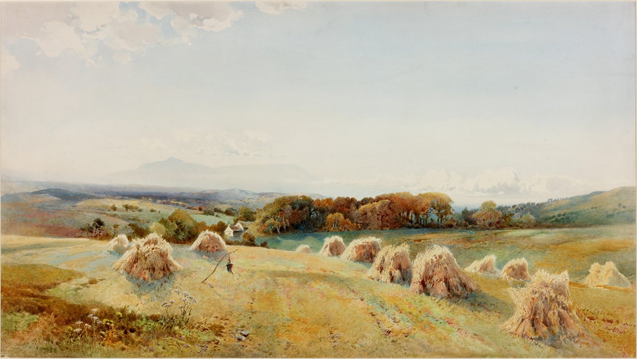 Un campo di raccolta, Windermere da Arthur Tucker
