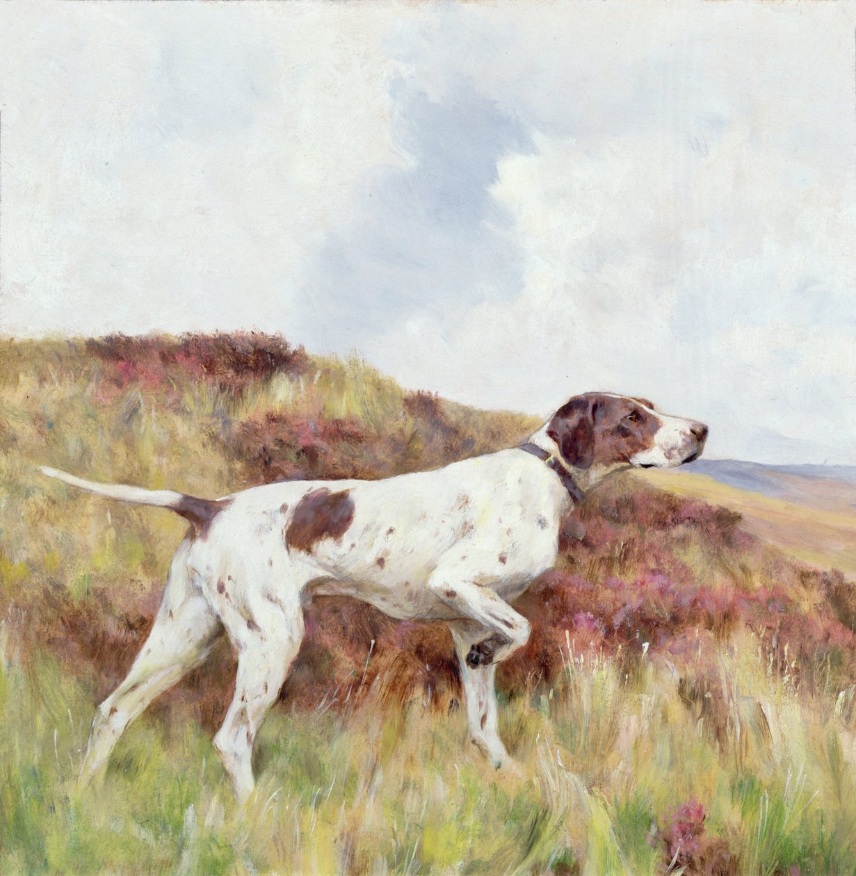 Un puntatore da Arthur Wardle
