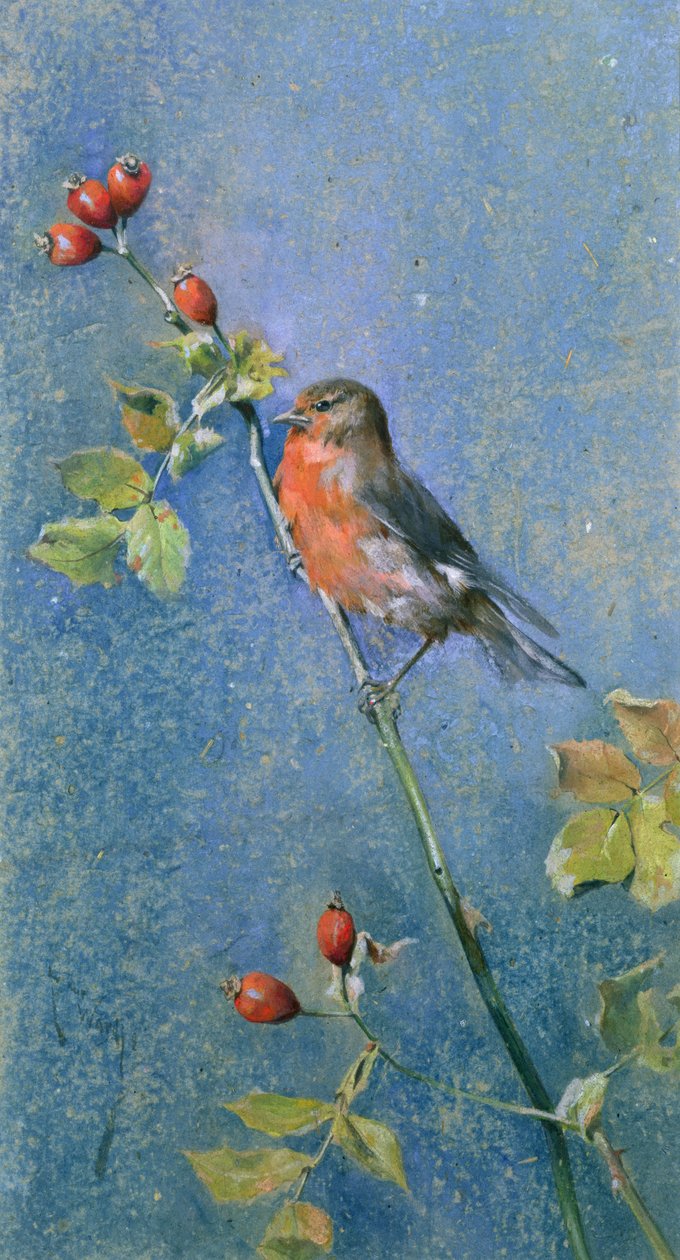 Pettirosso su un ramo da Arthur Wardle