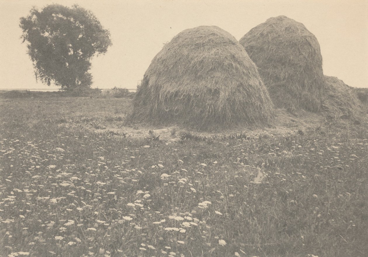 Covoni, Ipswich, c. 1894 (foto) da Arthur Wesley Dow