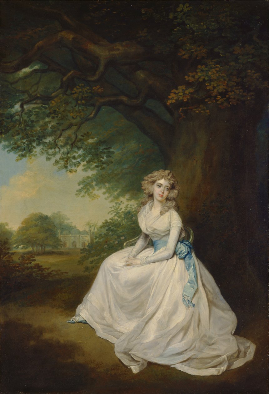 Lady Chambers da Arthur William Devis