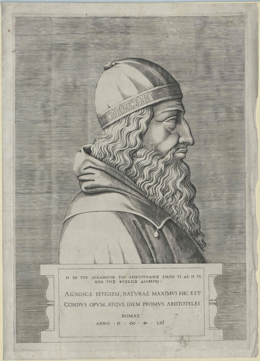 Aristotele (stampa) da Artist Unknown