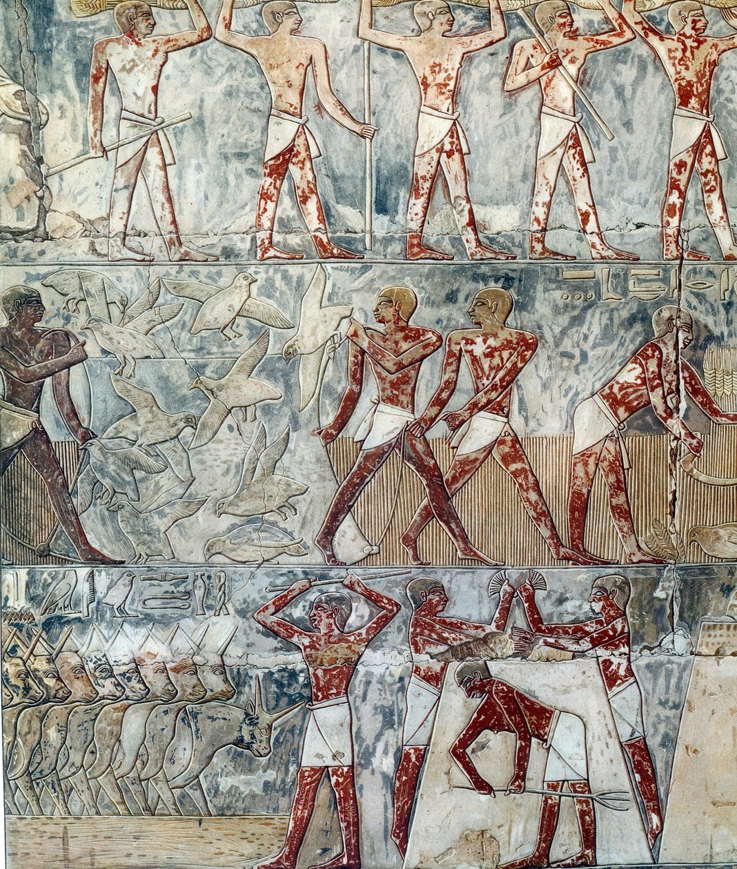 Arte Egitto: scena agricola, VI dinastia da Artist Unknown