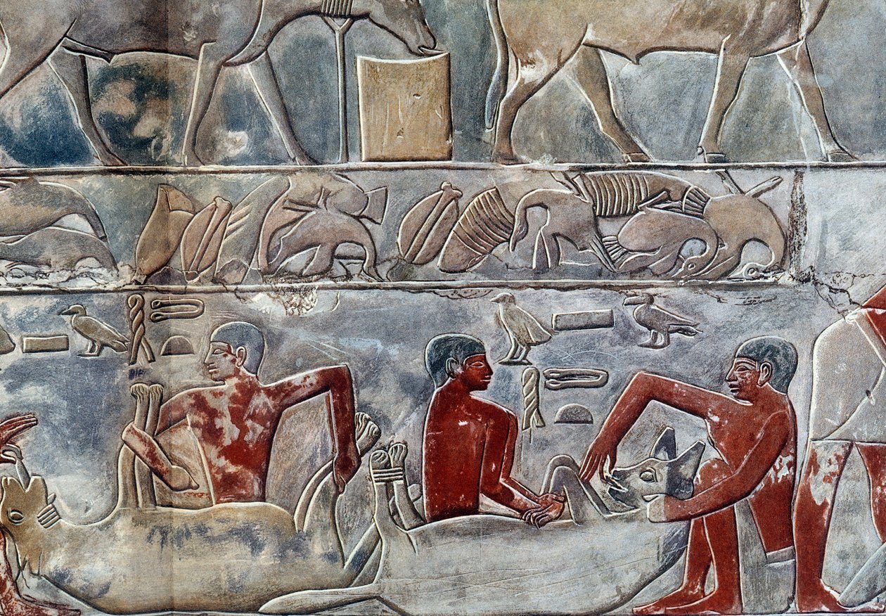 Arte egizia: gavage di un iene. Il collegio è simile alla mastaba di Mereruka. da Artist Unknown
