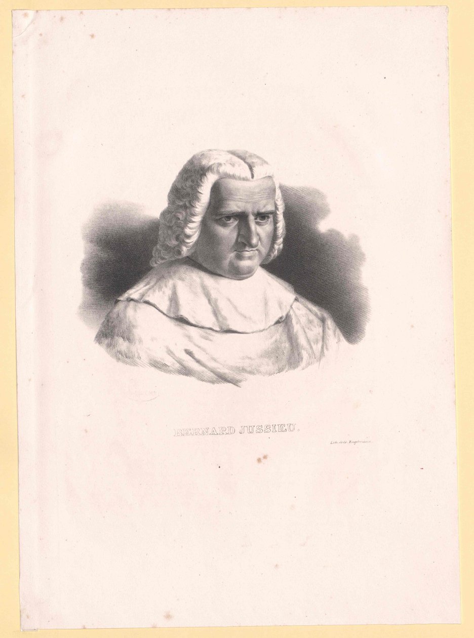 Bernard de Jussieu da Artist Unknown