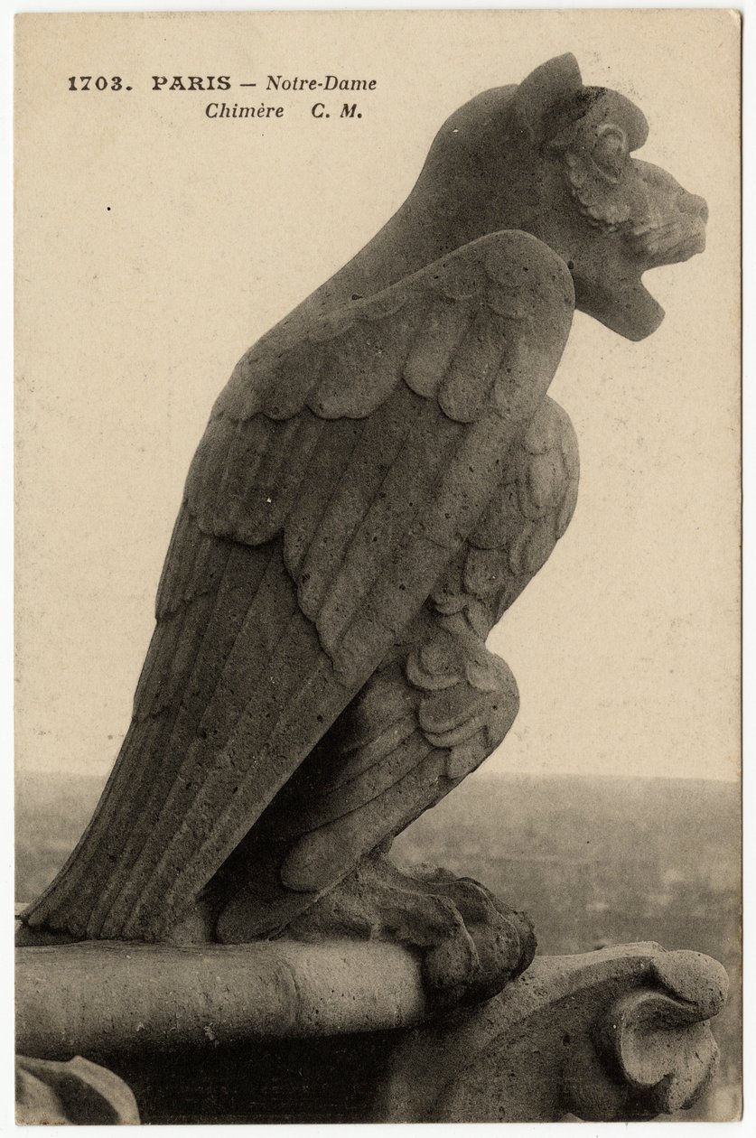 Gargoyle o chimere della cattedrale Notre Dame de Paris, costruita tra il 1163 e il XIV secolo - Cartolina, collezione Selva da Artist Unknown