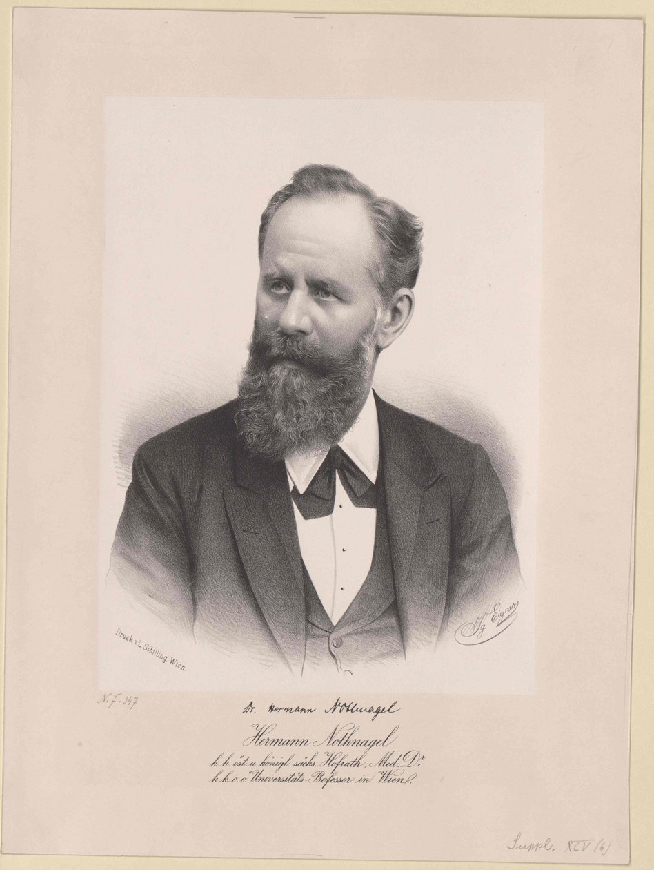 Hermann Nothnagel da Artist Unknown