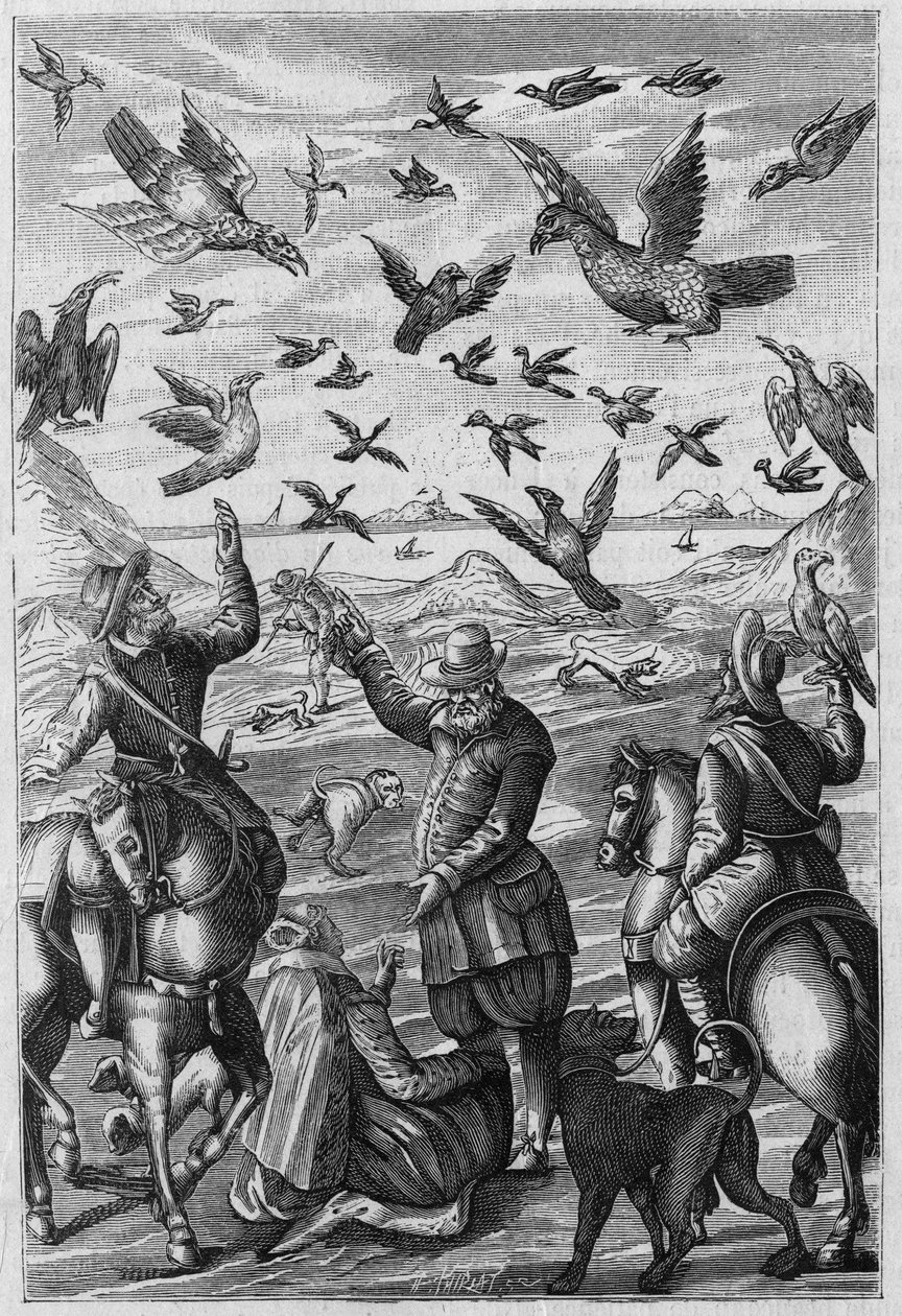 Illustrazione per "La Nature: revue des sciences et de leurs applications aux arts et a l