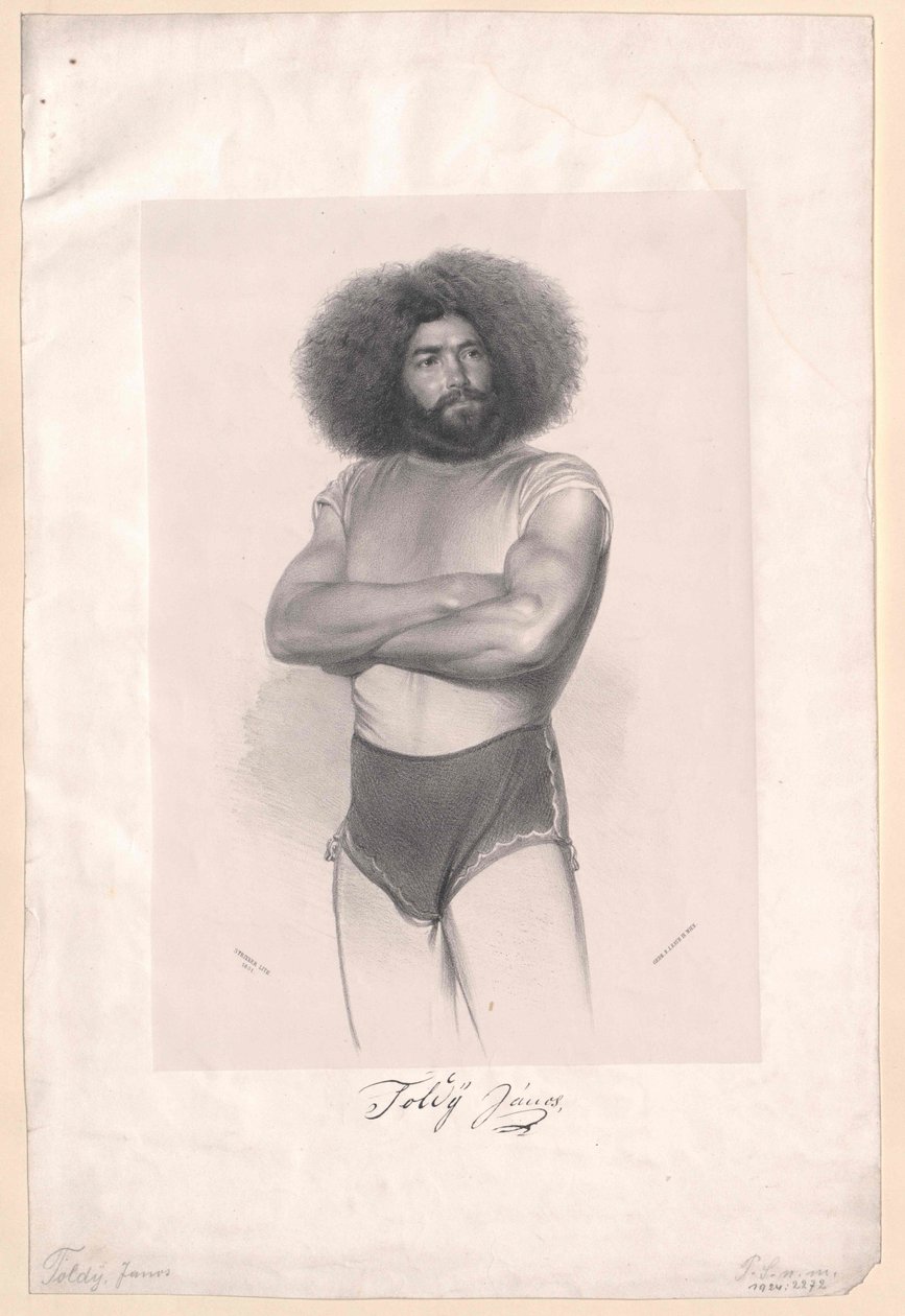 Janos Toldy da Artist Unknown