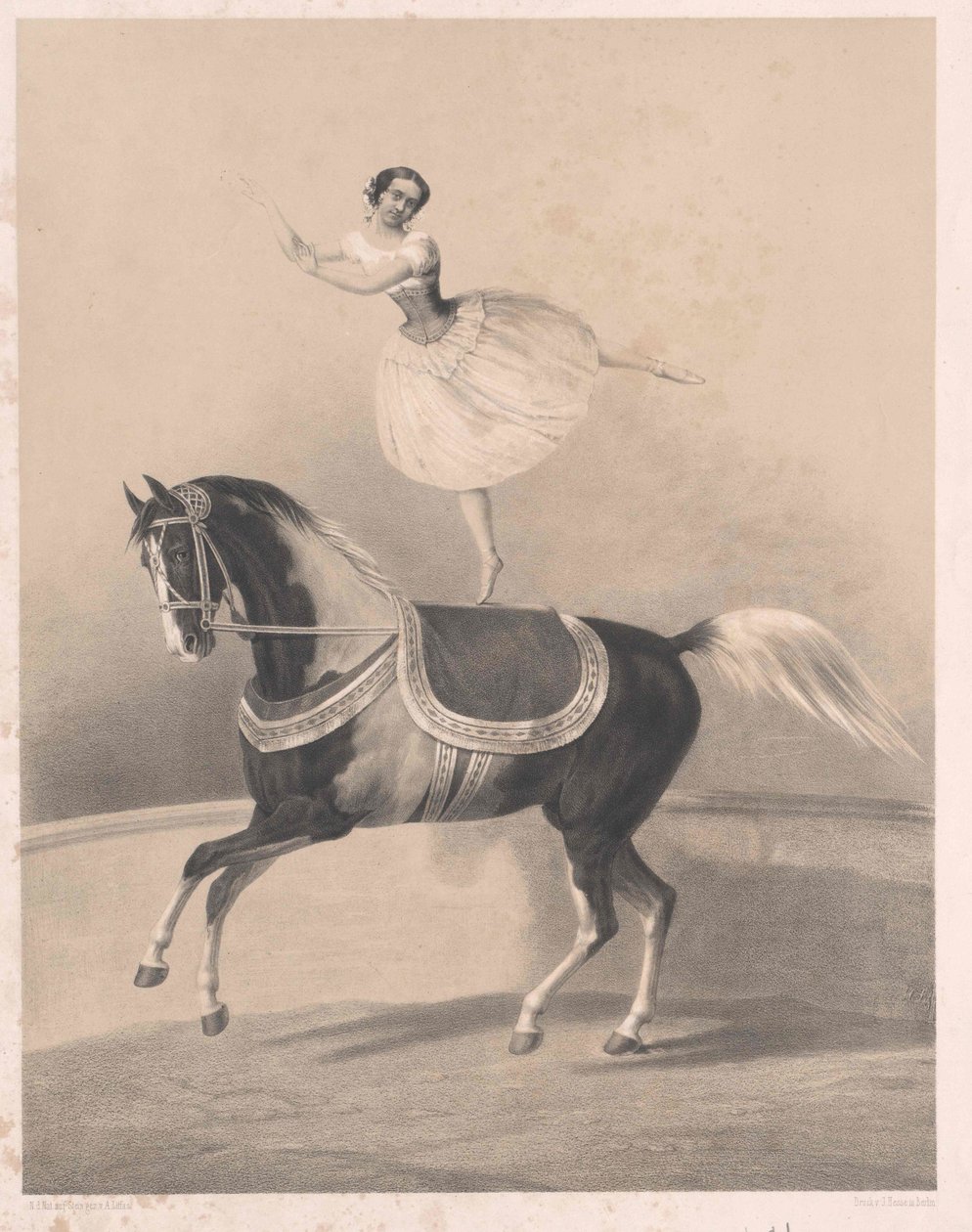 Louise Loisset da Artist Unknown