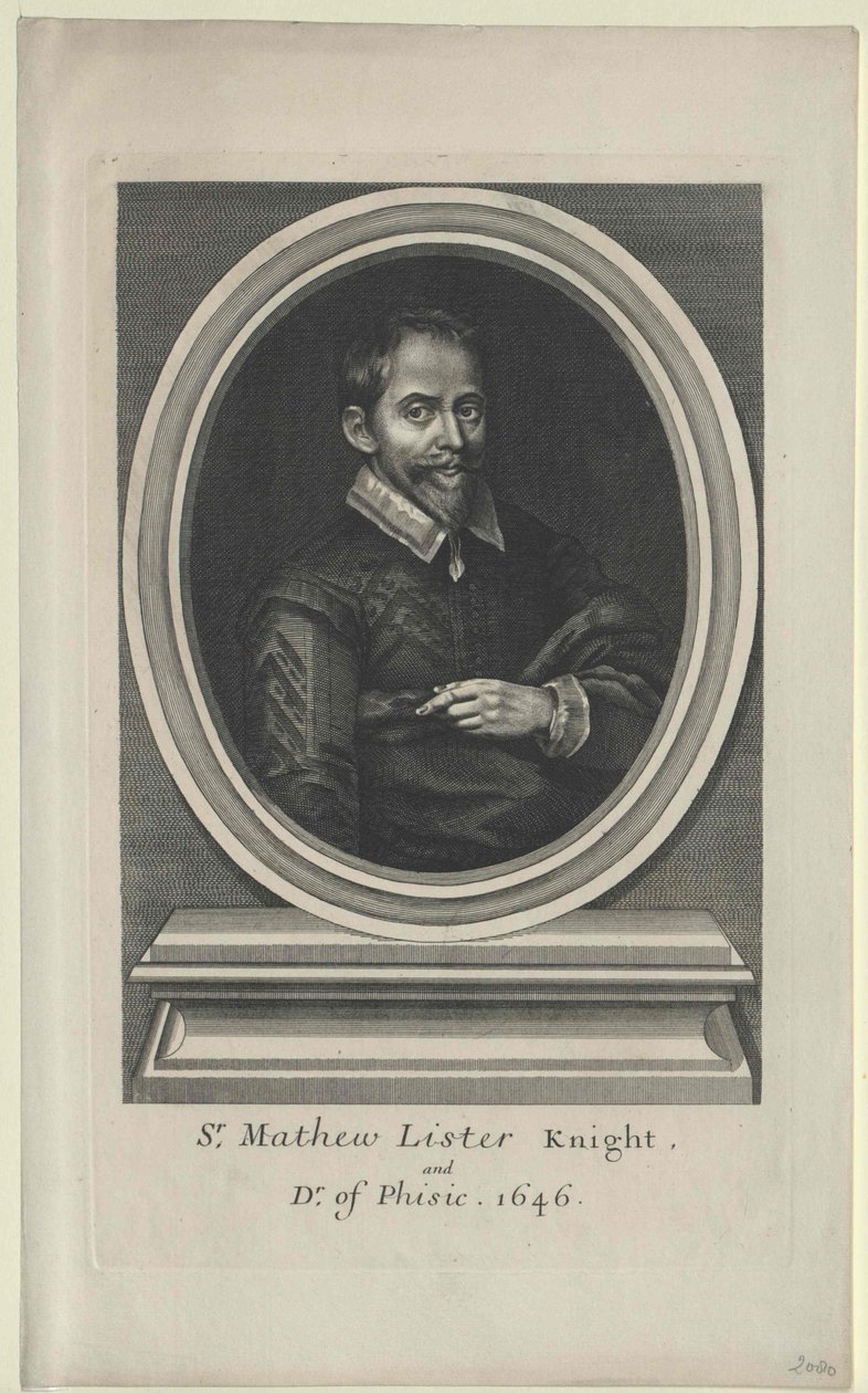 Elenco di Matteo (stampare) da Artist Unknown