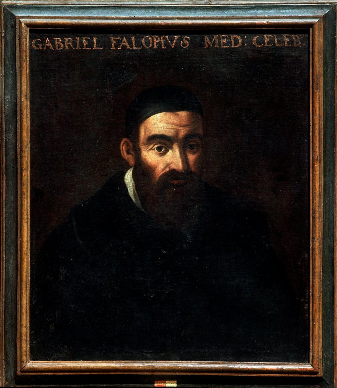 Ritratto di Gabriele Falloppia o Falloppio da Artist Unknown