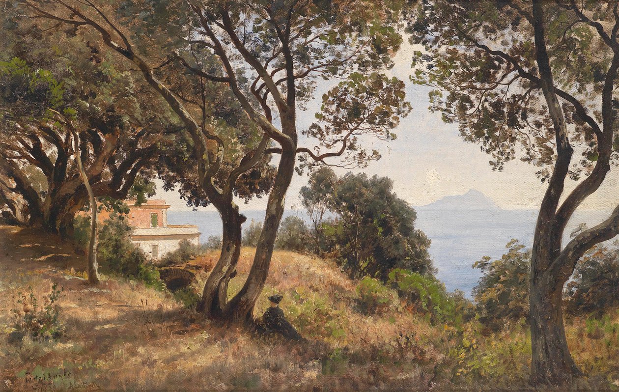 Veduta meridionale da Ascan Lutteroth