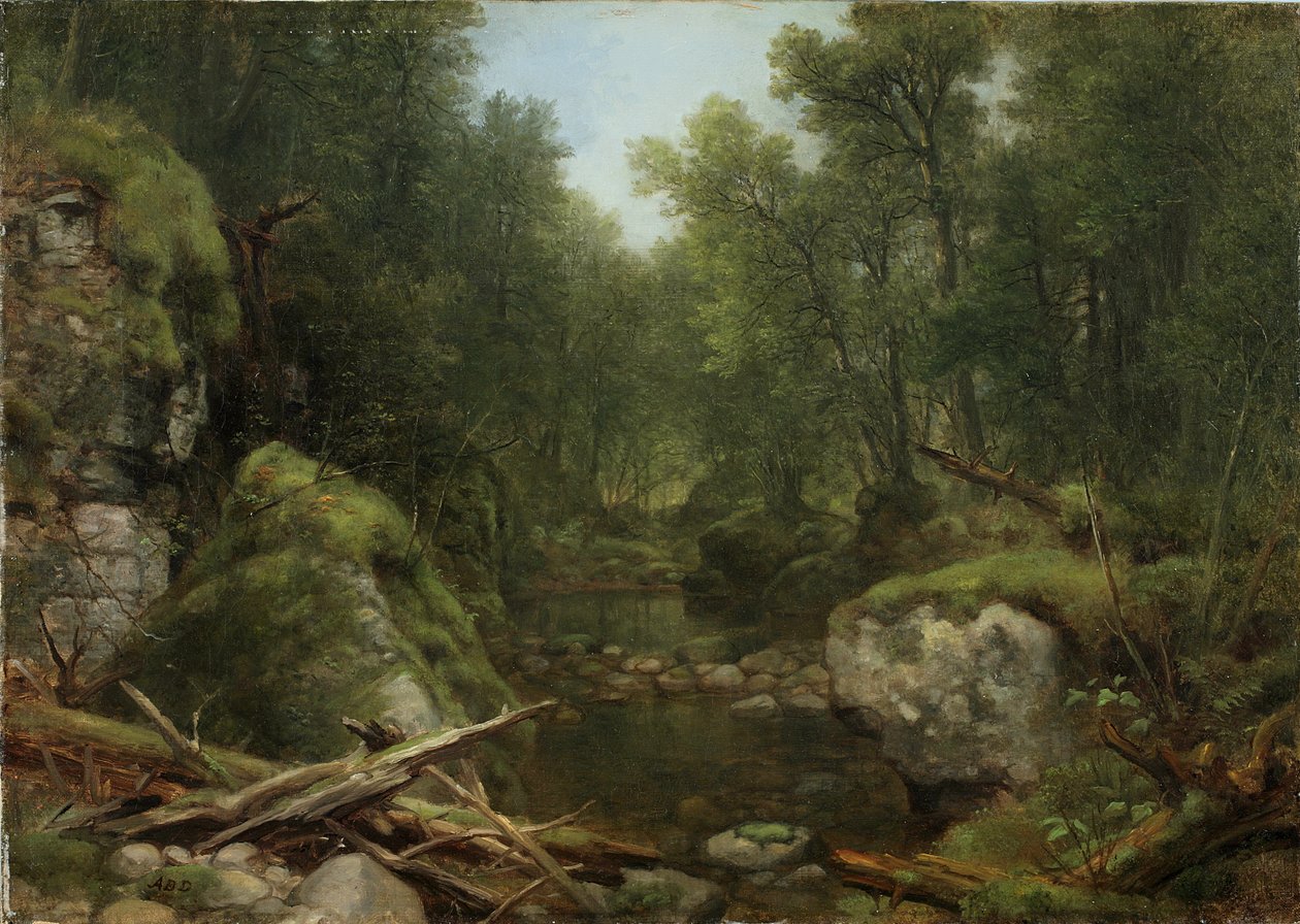 Chapel Pond Brook, Keene Flats, Adirondack Mountains, N.Y. da Asher Brown Durand